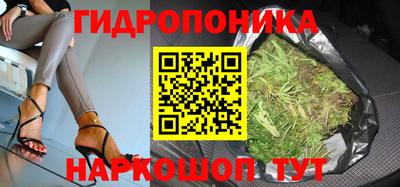 кокс Гусев