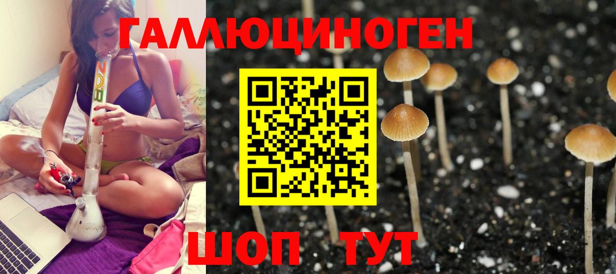 Псилоцибиновые грибы мухоморы  Вход с VPN  Мичуринск 